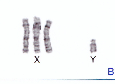 DNA2.jpg